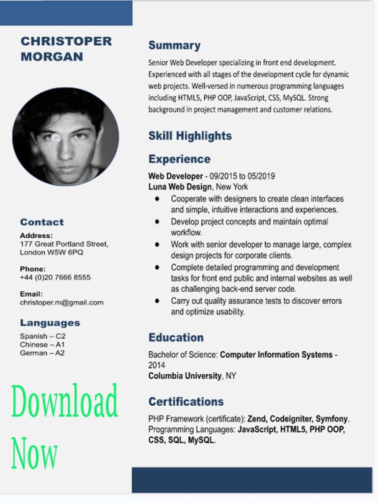 The Best CV Resume Templates in Word 1 CV Resume Templates