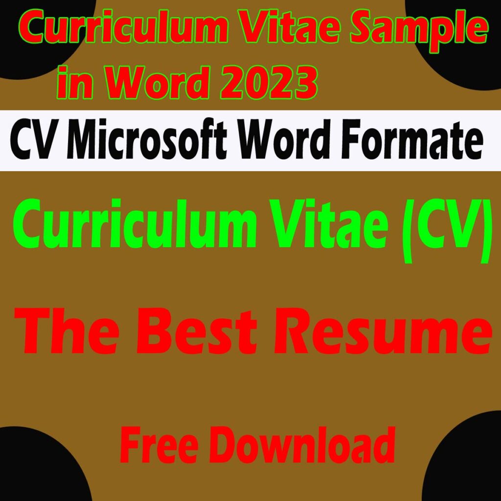 Curriculum Vitae Sample