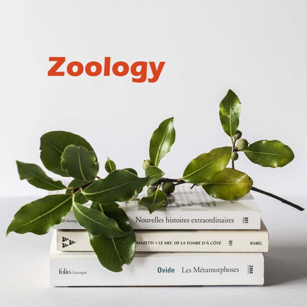 Lecturer Zoology MCQs PPSC Past Papers
