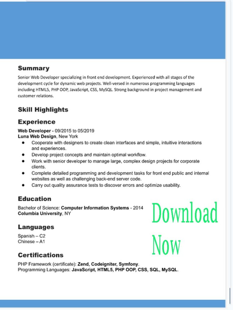The Best CV Resume Format Template in Word 1 The Best CV Resume Format Template in Word 2023