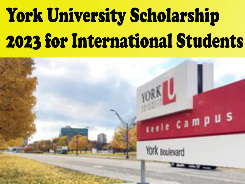 York University Scholarship 2024 for International Students